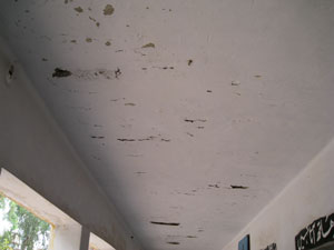 Govt Khursheed School